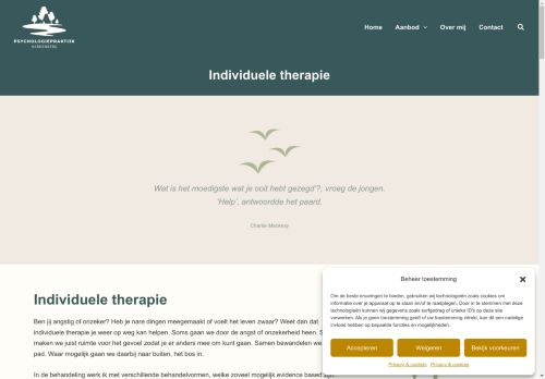 Screenshot of https://psychologiepraktijkhardenberg.nl/aanbod/individuele-therapie/