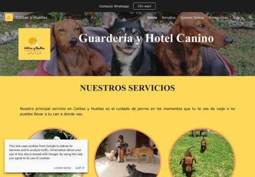 Screenshot of https://WWW.COLITASYHUELLAS.COM